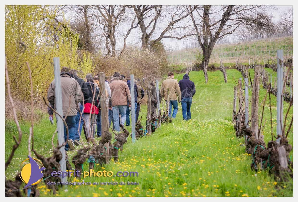 Nom de l'image : S1015656_(c)esprit-photo.com — Description :