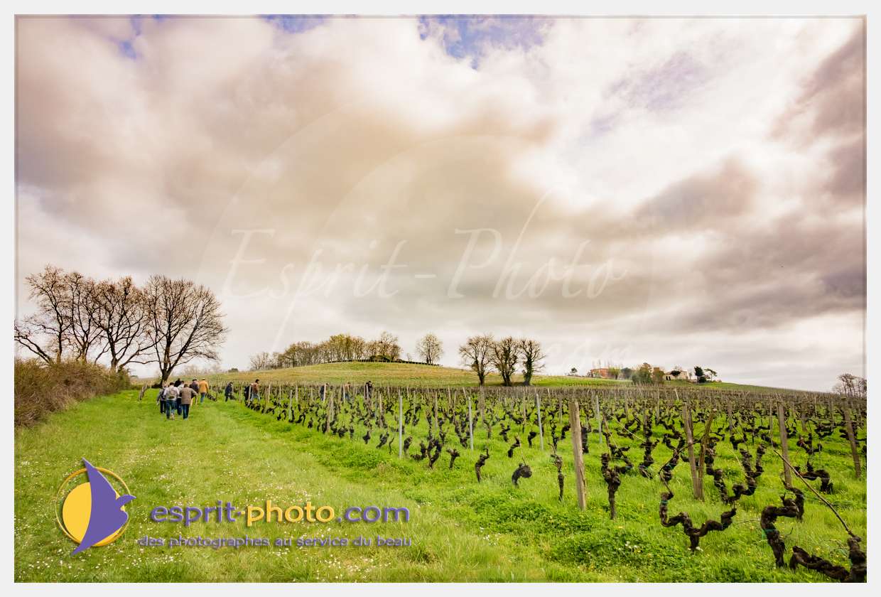 Nom de l'image : S1015661_(c)esprit-photo.com — Description :