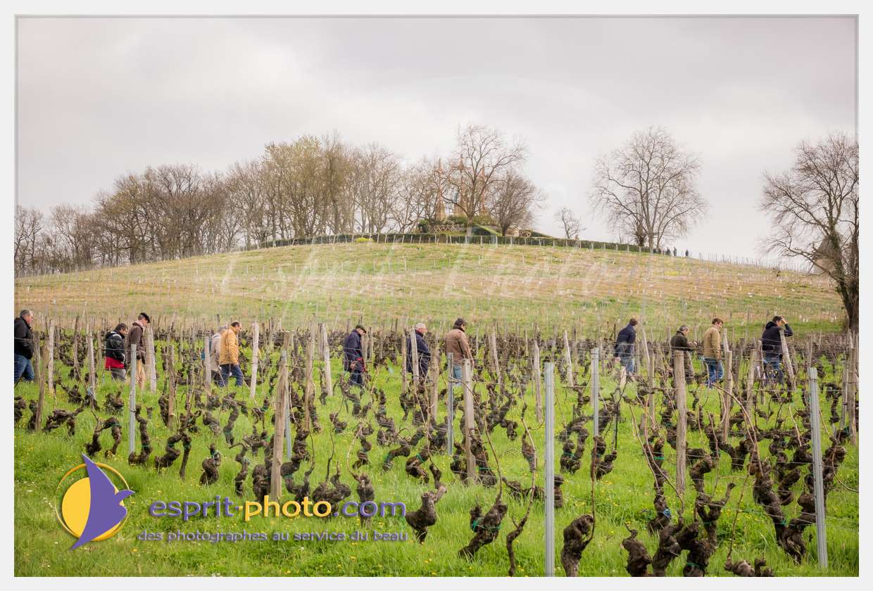 Nom de l'image : S1015665_(c)esprit-photo.com — Description :