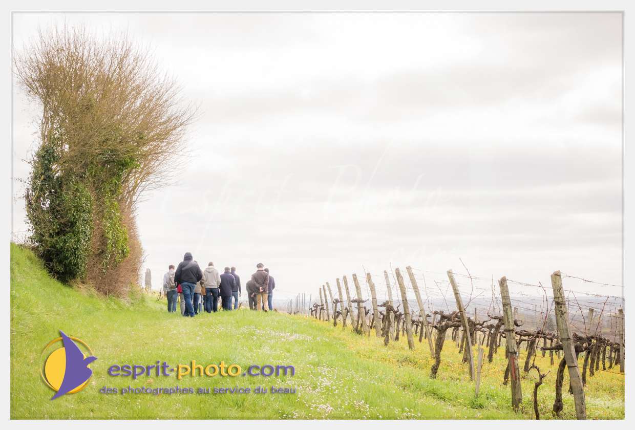 Nom de l'image : S1015686_(c)esprit-photo.com — Description :