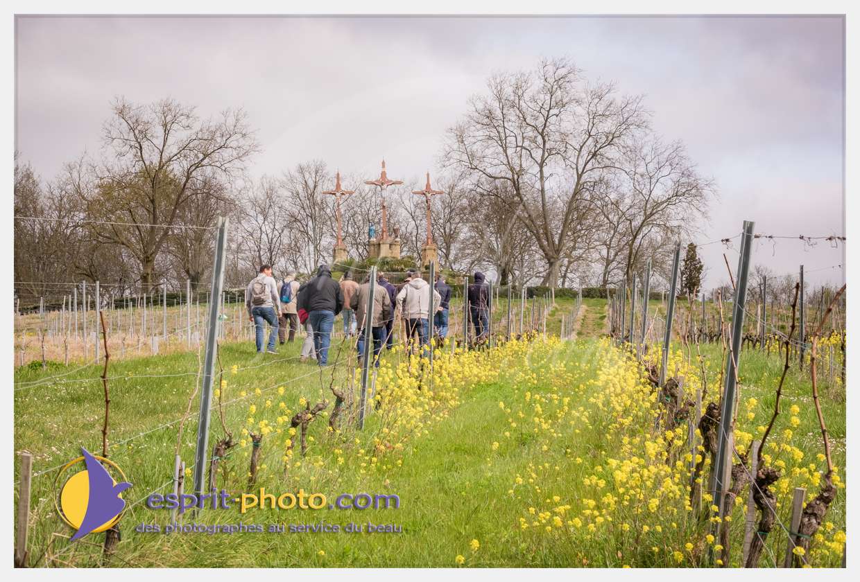 Nom de l'image : S1015699_(c)esprit-photo.com — Description :