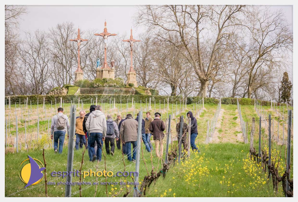 Nom de l'image : S1015703_(c)esprit-photo.com — Description :