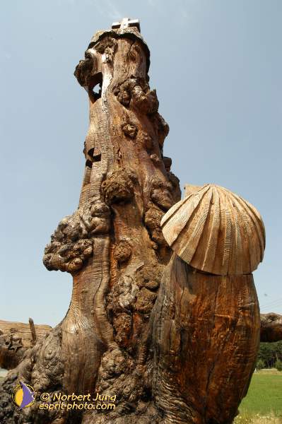 Nom de l'image : D1153955-01 — Description :