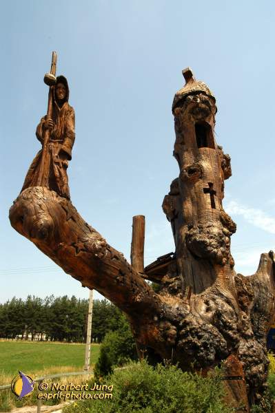 Nom de l'image : D1153956-01 — Description :