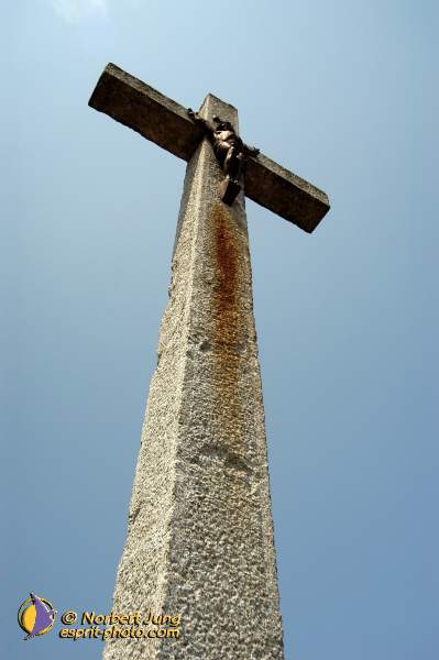 Nom de l'image : D1153996-01 — Description :