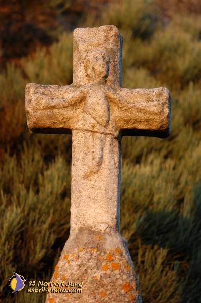 Nom de l'image : D1154010-01 — Description :