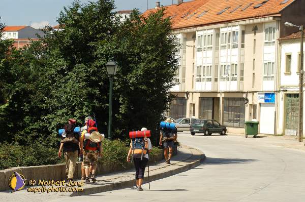 Nom de l'image : D1157620-01 — Description :  Pèlerinage année jubilaire 2004 à St Jacques de Compostelle