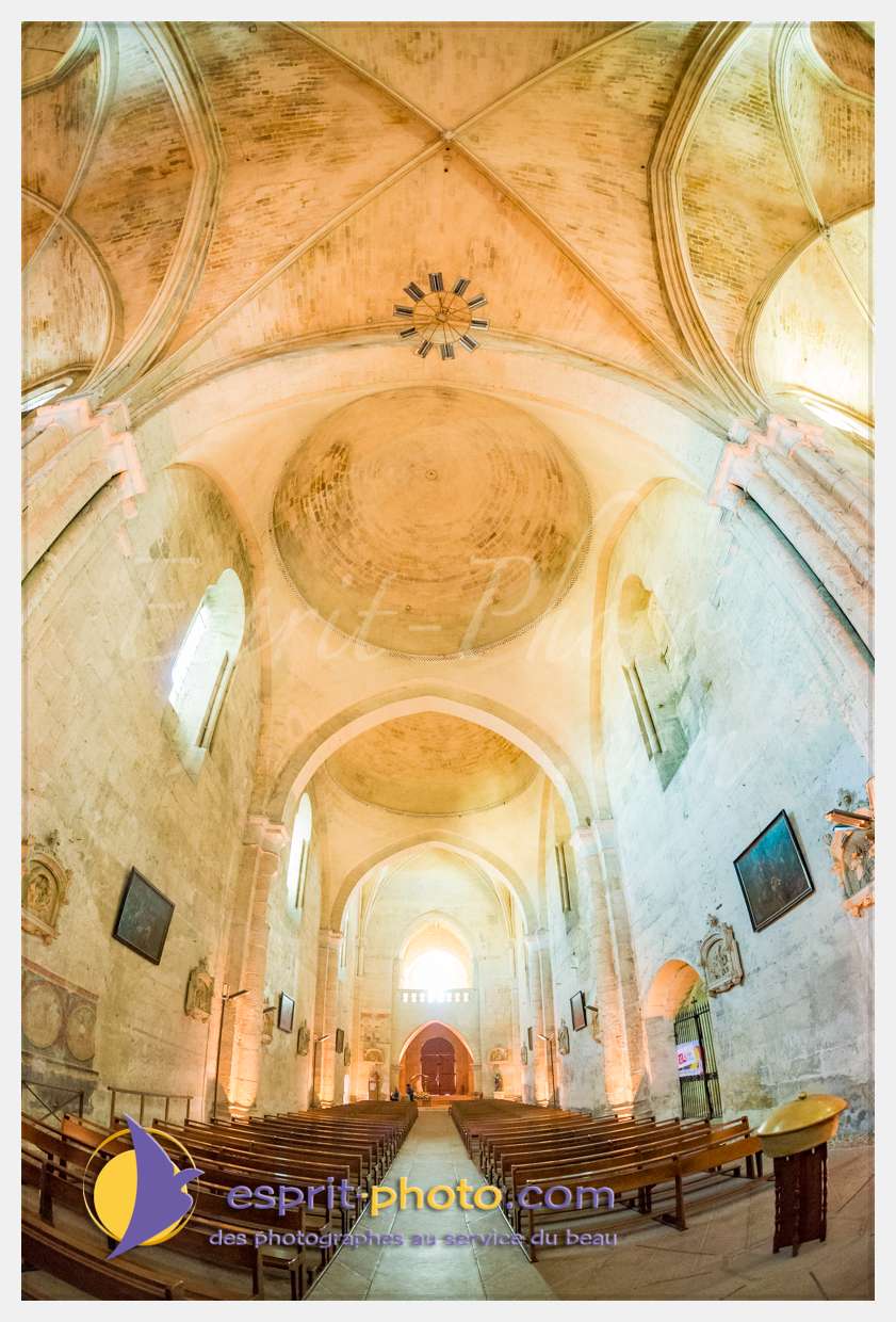 Nom de l'image : 20170513-190808_D8e118379_(c)esprit-photo.com — Description :