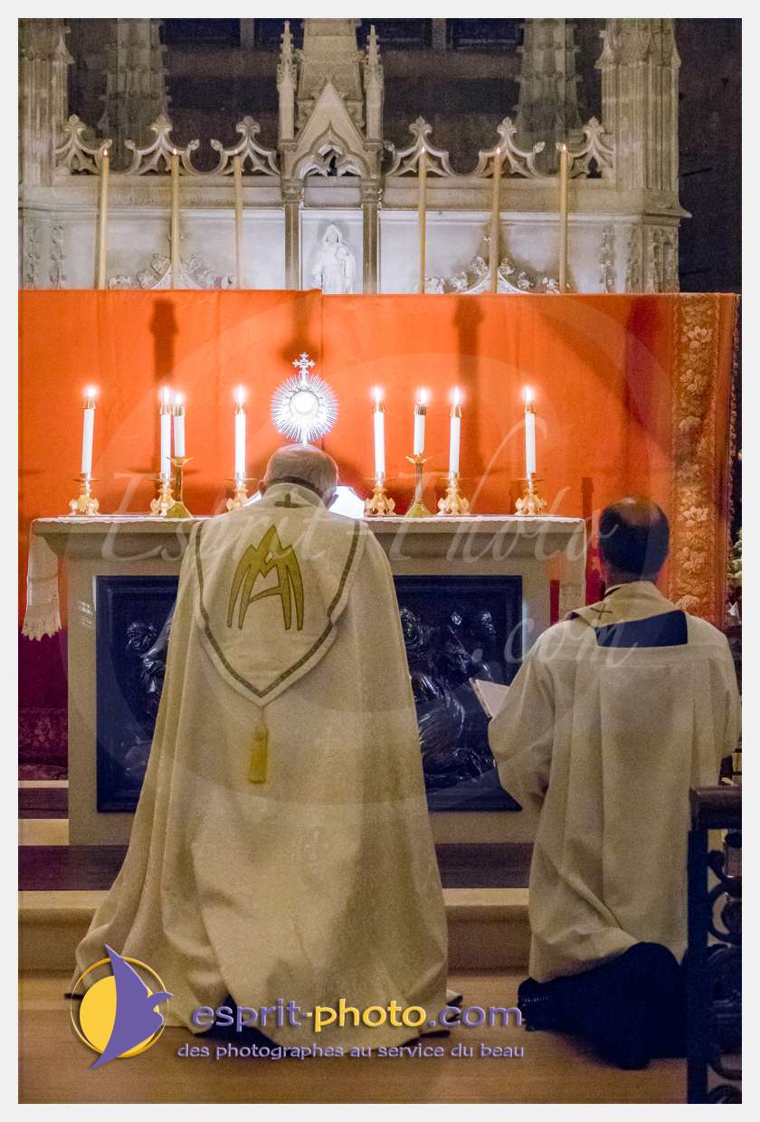 Nom de l'image : 20170513-215524_S1017700_(c)esprit-photo.com — Description :