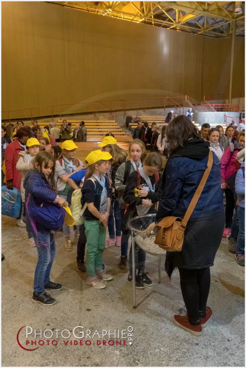 Nom de l'image : 20190511-152138_S1119631_c_Photographie.Pro — Description : S1119631