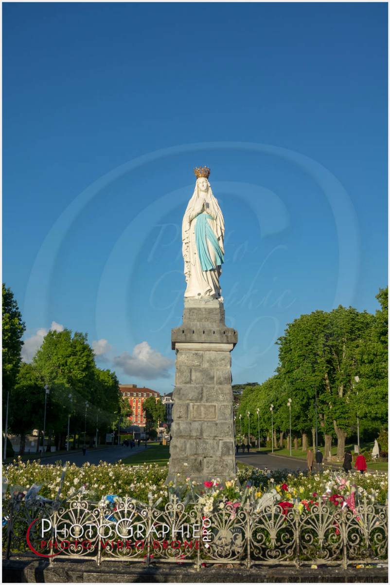 Nom de l'image : 20190511-201249_S1119870_c_Photographie.Pro — Description : S1119870