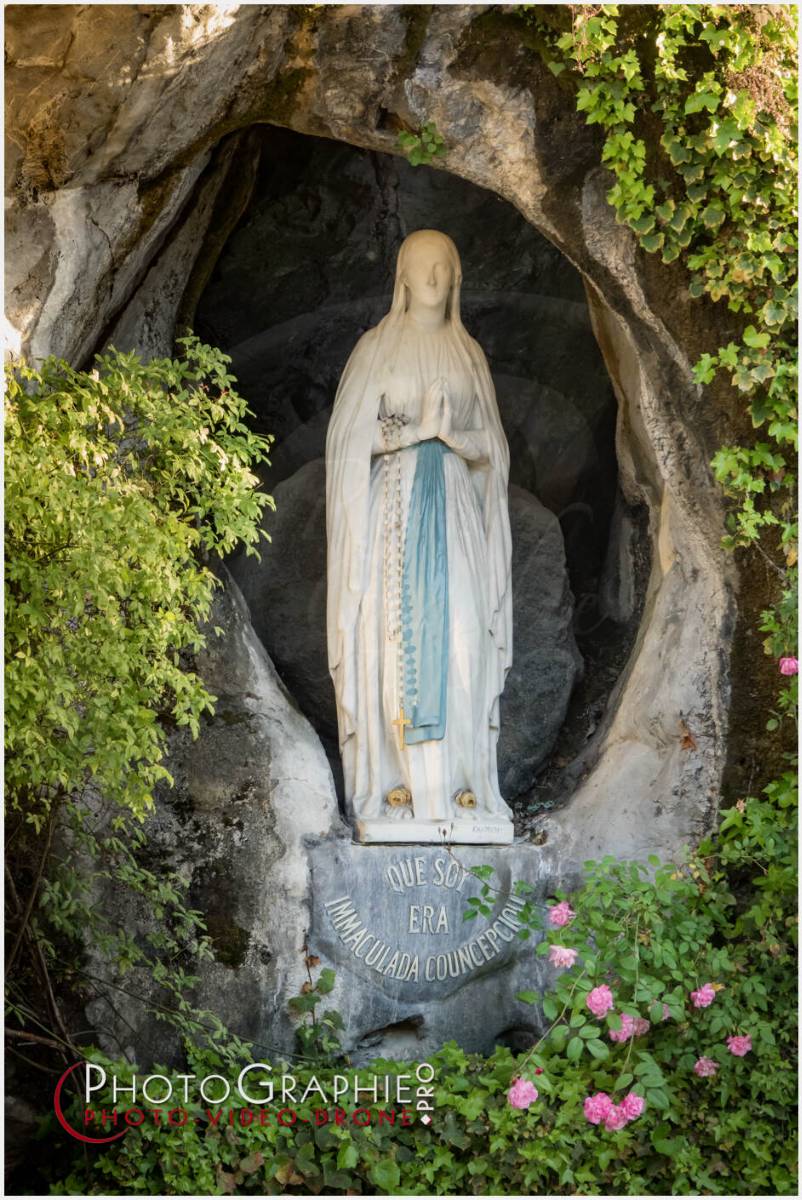 Nom de l'image : 20190511-201850_S1119919_c_Photographie.Pro — Description : S1119919