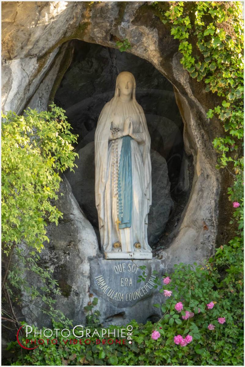 Nom de l'image : 20190511-201850_S1119921_c_Photographie.Pro — Description : S1119921