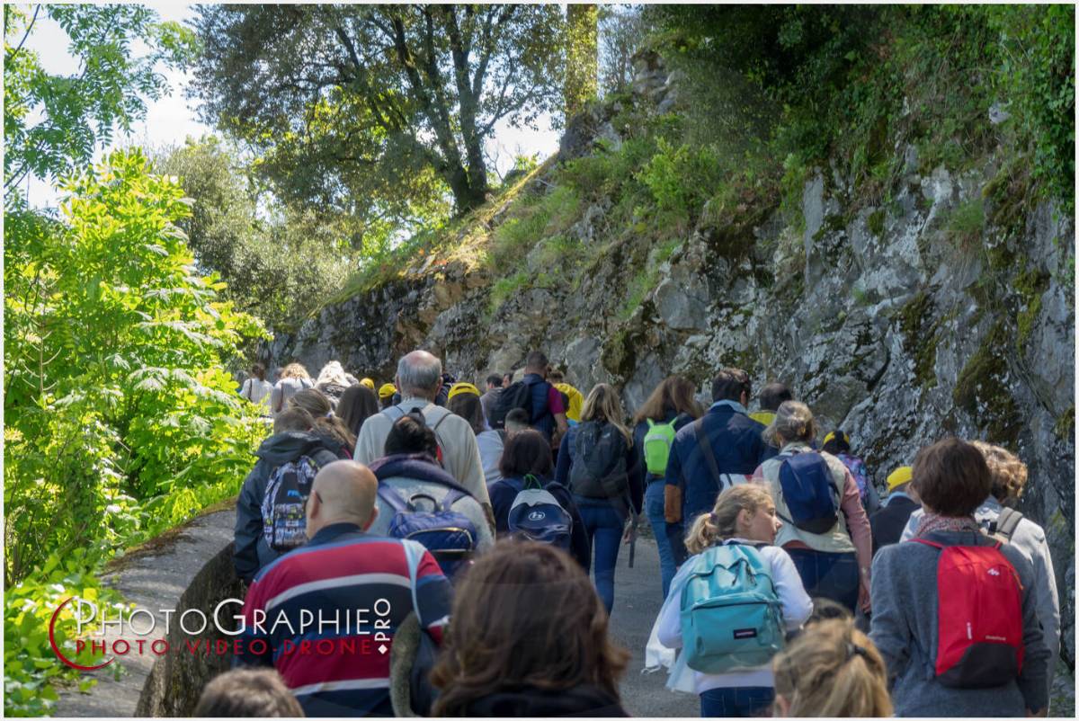 Nom de l'image : 20190512-133558_S1120588_c_Photographie.Pro — Description : S1120588