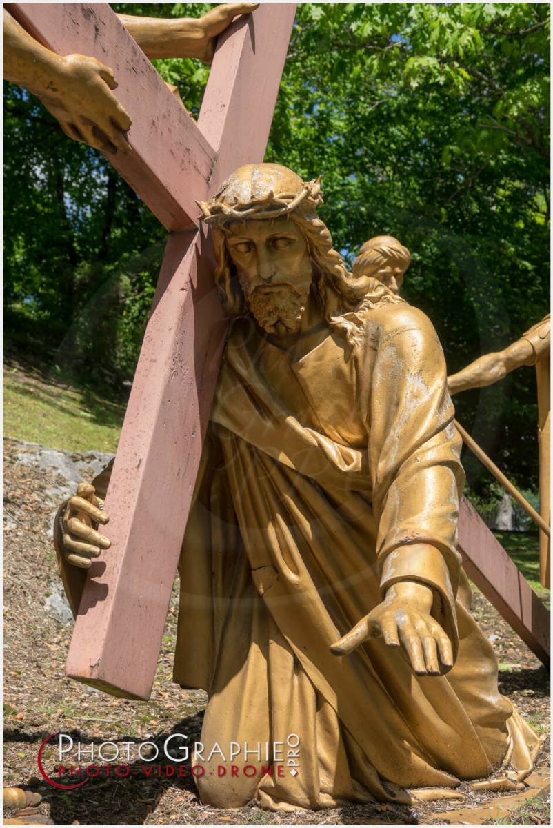 Nom de l'image : 20190512-134420_S1120604_c_Photographie.Pro — Description : S1120604