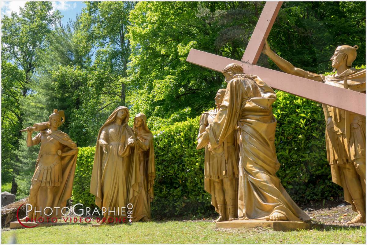 Nom de l'image : 20190512-134631_S1120608_c_Photographie.Pro — Description : S1120608