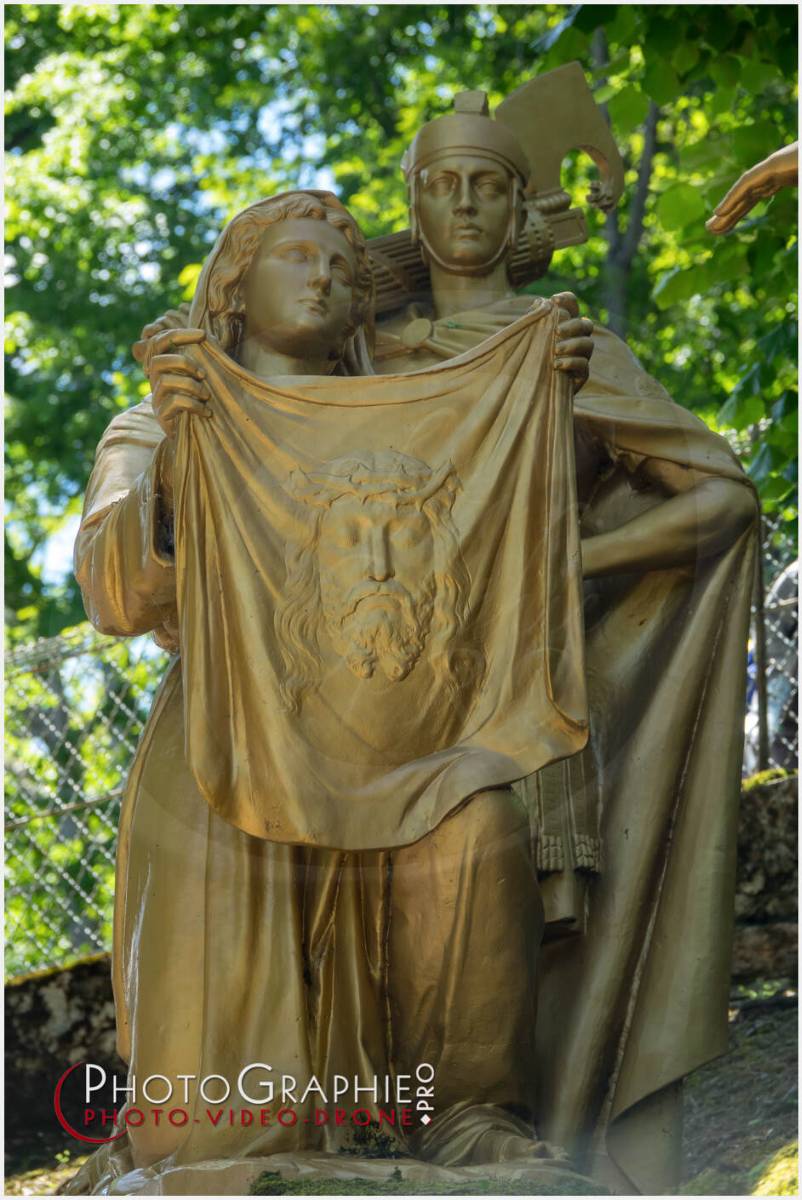 Nom de l'image : 20190512-135133_S1120612_c_Photographie.Pro — Description : S1120612