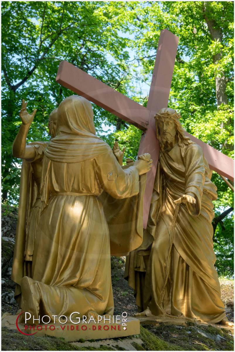 Nom de l'image : 20190512-135203_S1120616_c_Photographie.Pro — Description : S1120616