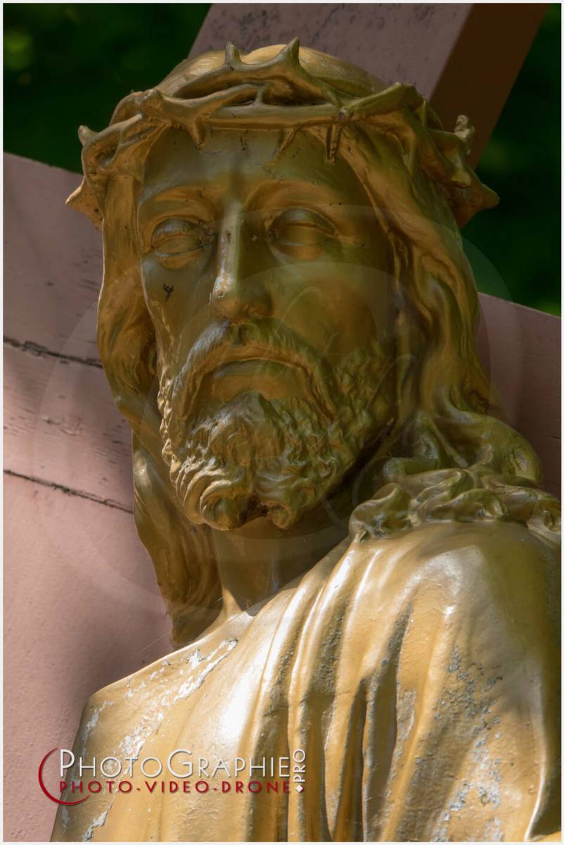 Nom de l'image : 20190512-135514_S1120621_c_Photographie.Pro — Description : S1120621