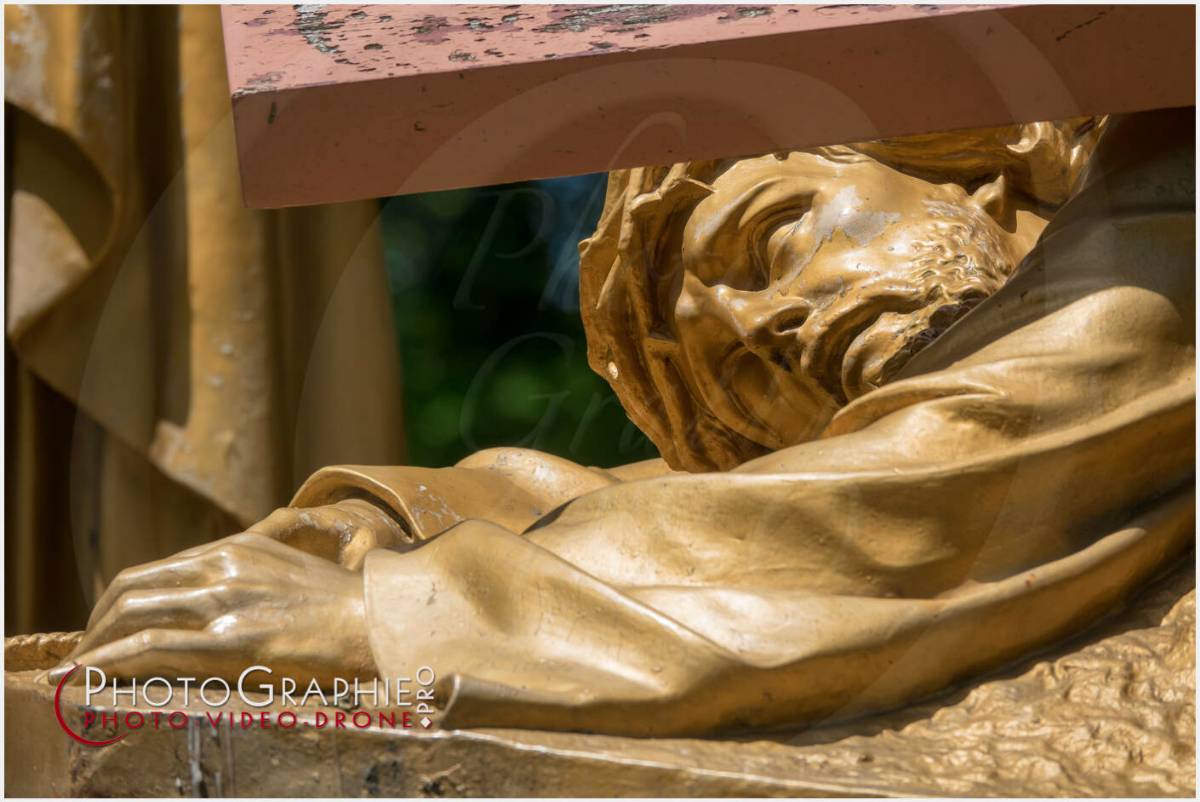 Nom de l'image : 20190512-135743_S1120628_c_Photographie.Pro — Description : S1120628