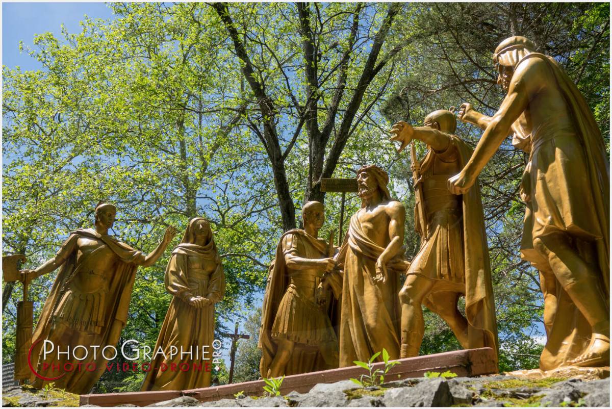 Nom de l'image : 20190512-140046_S1120631_c_Photographie.Pro — Description : S1120631