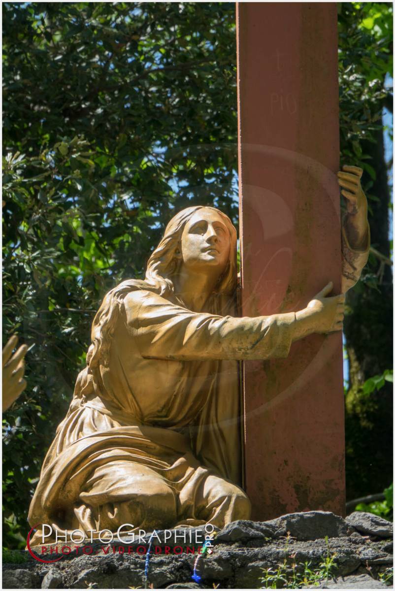 Nom de l'image : 20190512-140832_S1120636_c_Photographie.Pro — Description : S1120636