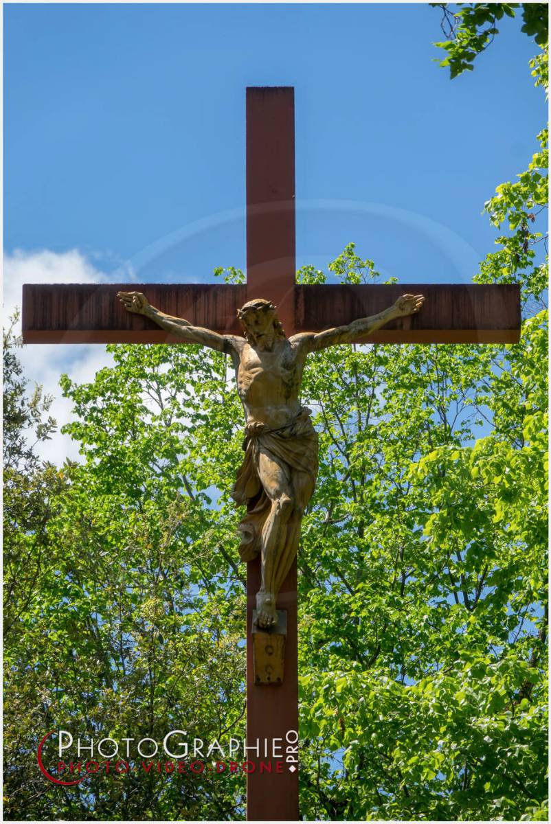 Nom de l'image : 20190512-140839_S1120637_c_Photographie.Pro — Description : S1120637