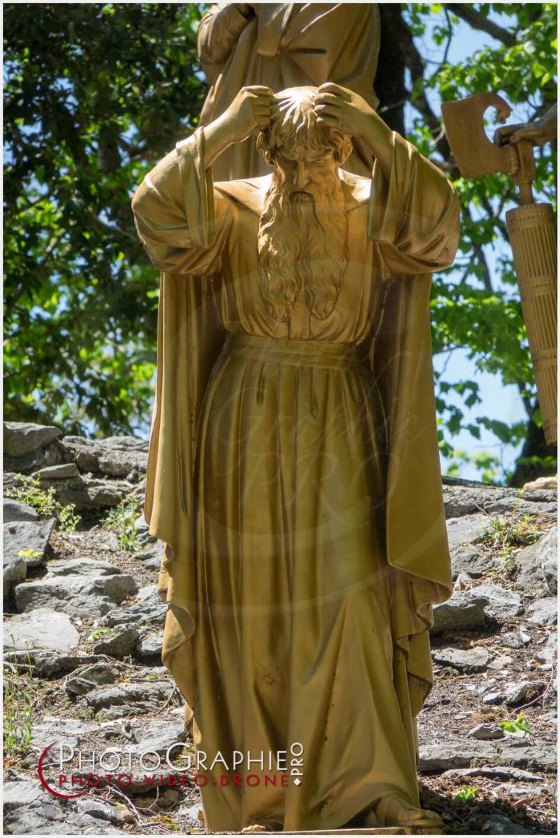 Nom de l'image : 20190512-140911_S1120640_c_Photographie.Pro — Description : S1120640