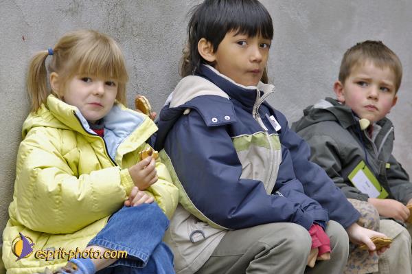 Nom de l'image : D2001442-1 — Description :