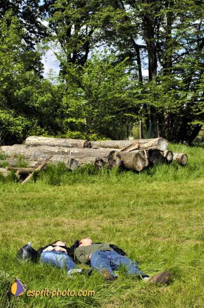 Nom de l'image : D2004983-1 — Description :