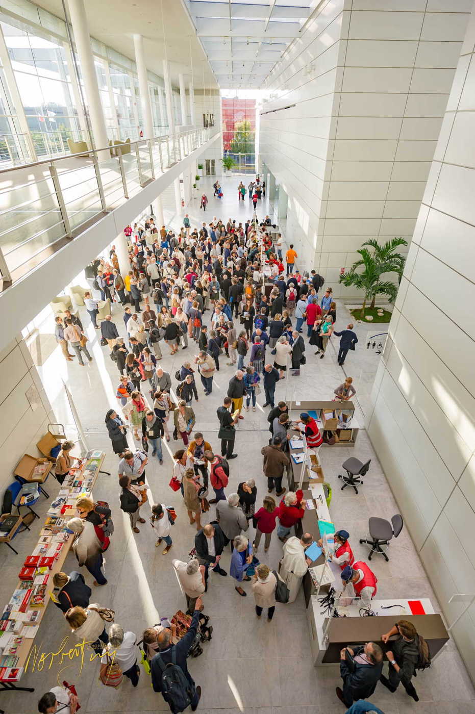 Nom de l'image : 001-D3s1153317 — Description :