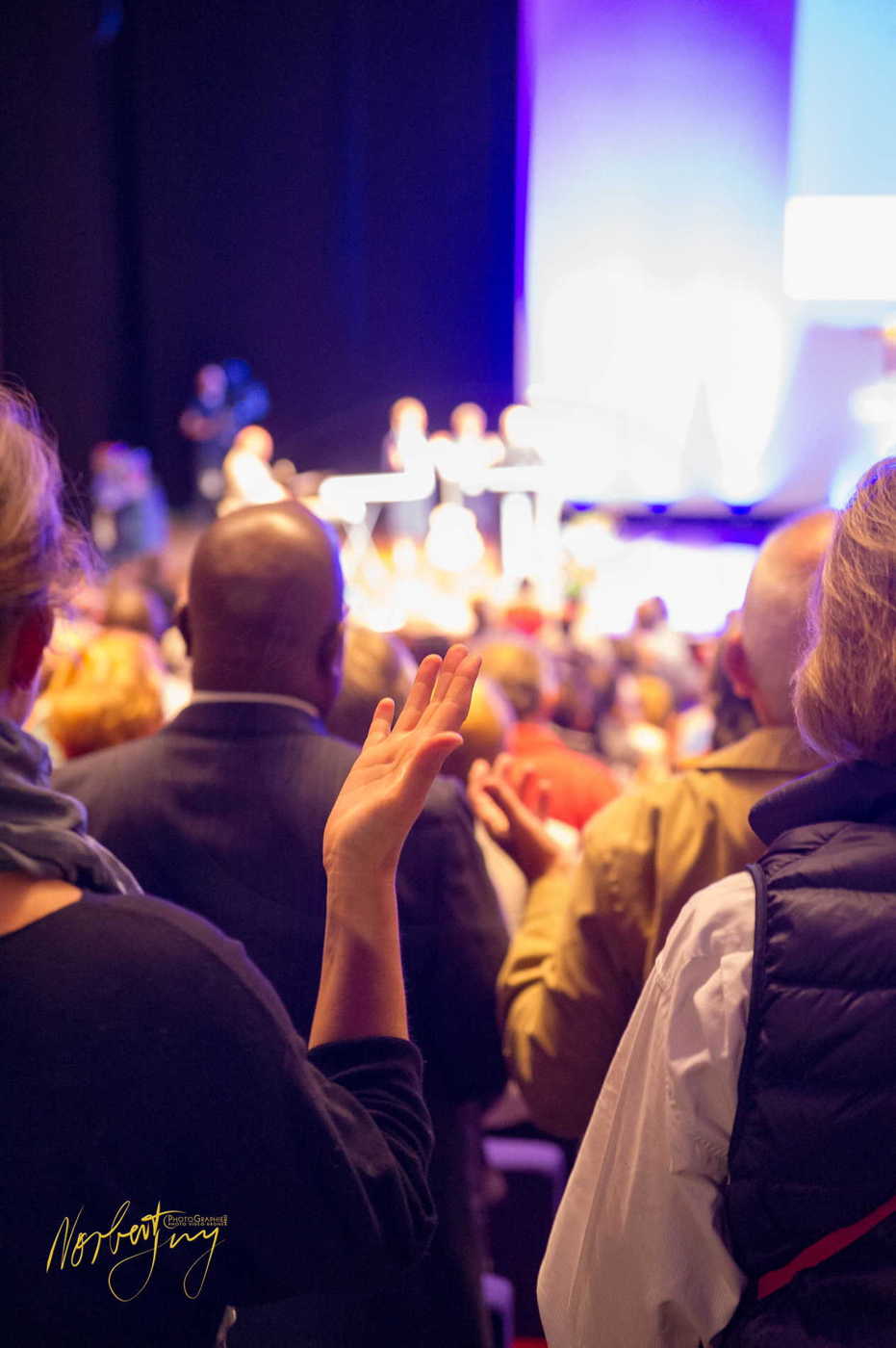 Nom de l'image : 013-D3s1153377 — Description :