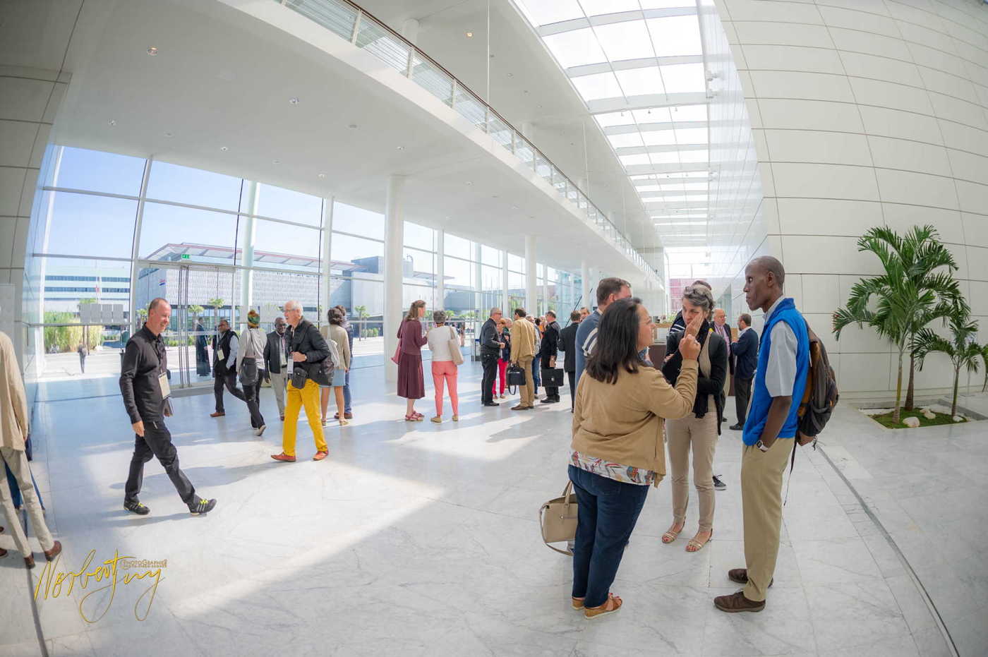 Nom de l'image : 107-D3s1153601 — Description :