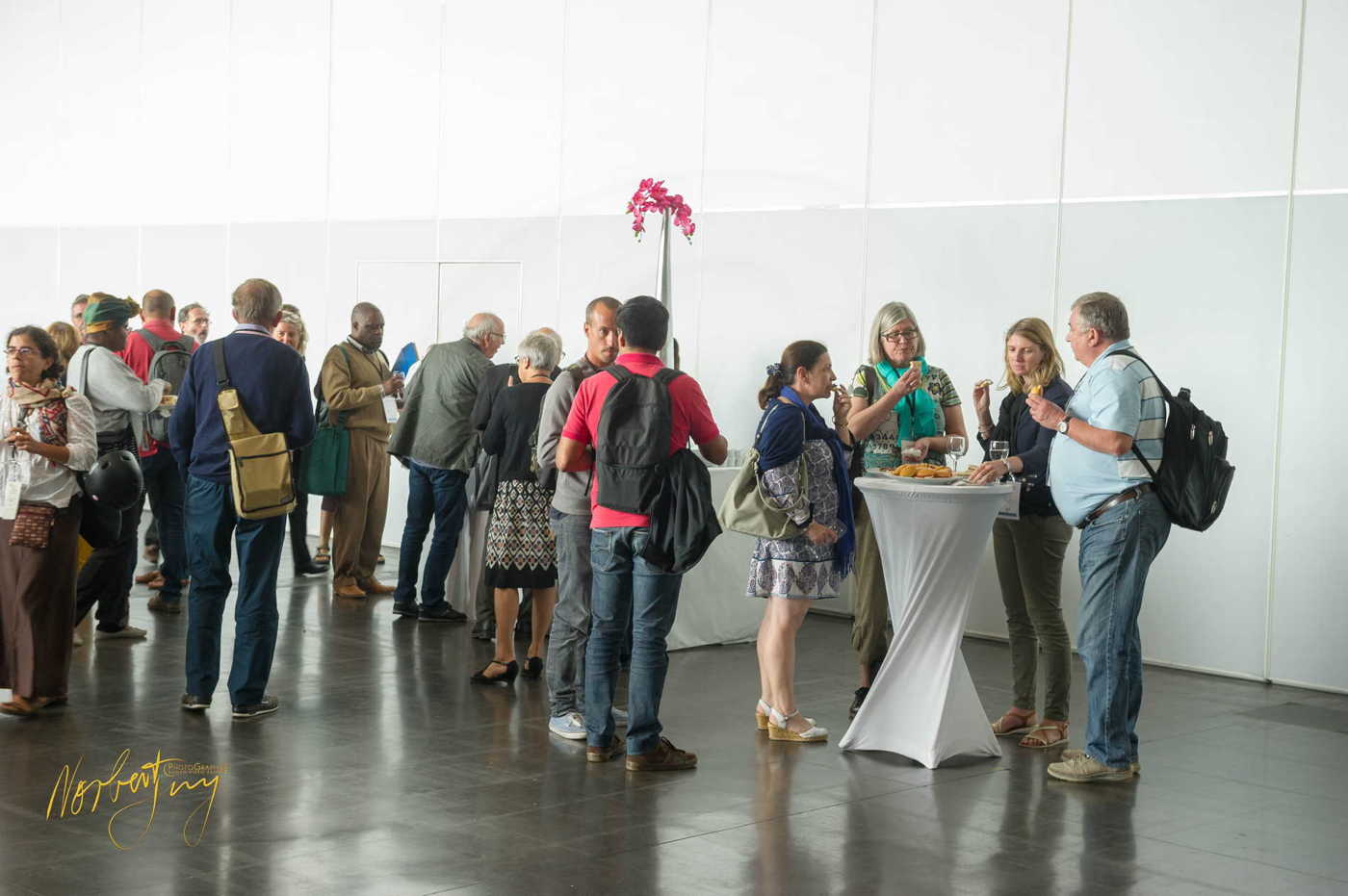 Nom de l'image : 137-D3s1153741 — Description :