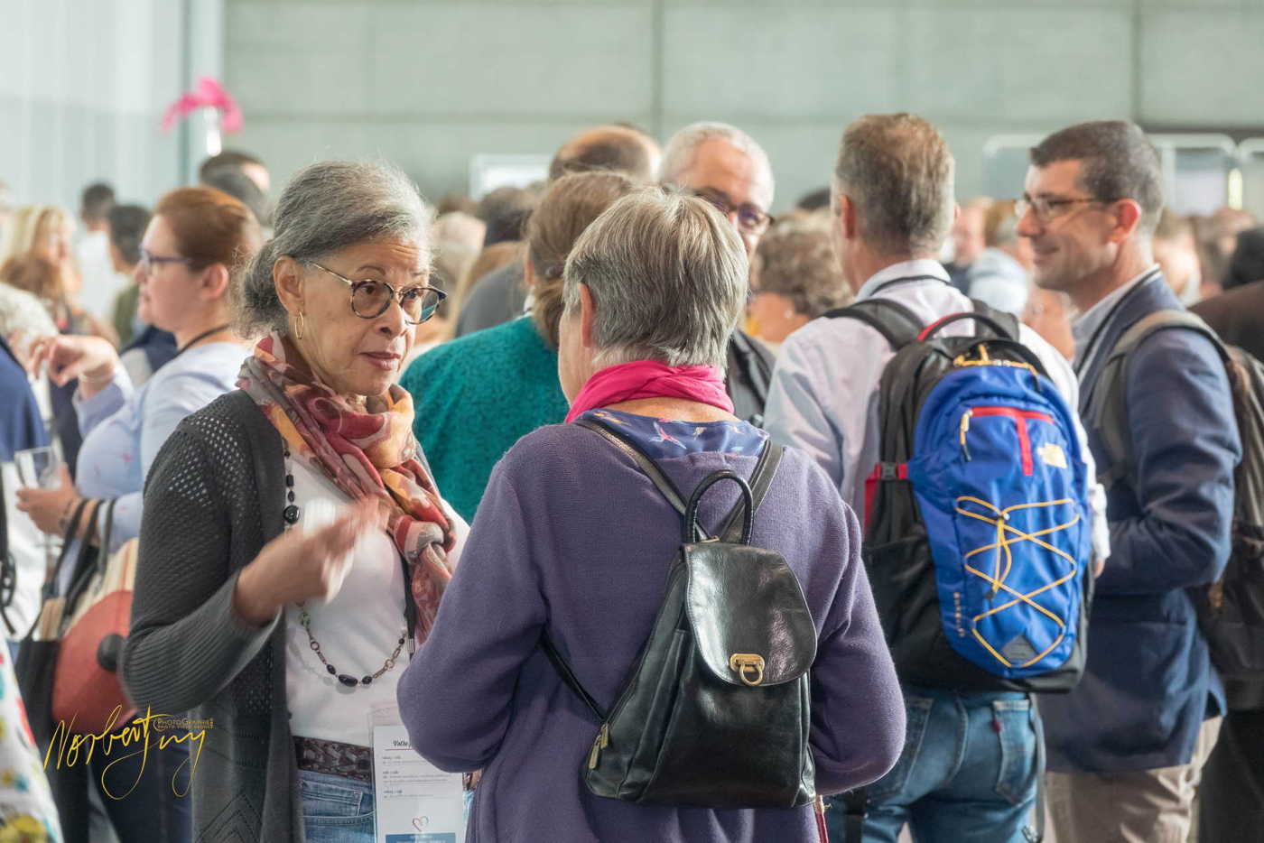 Nom de l'image : 141-S1100878 — Description : S1100878