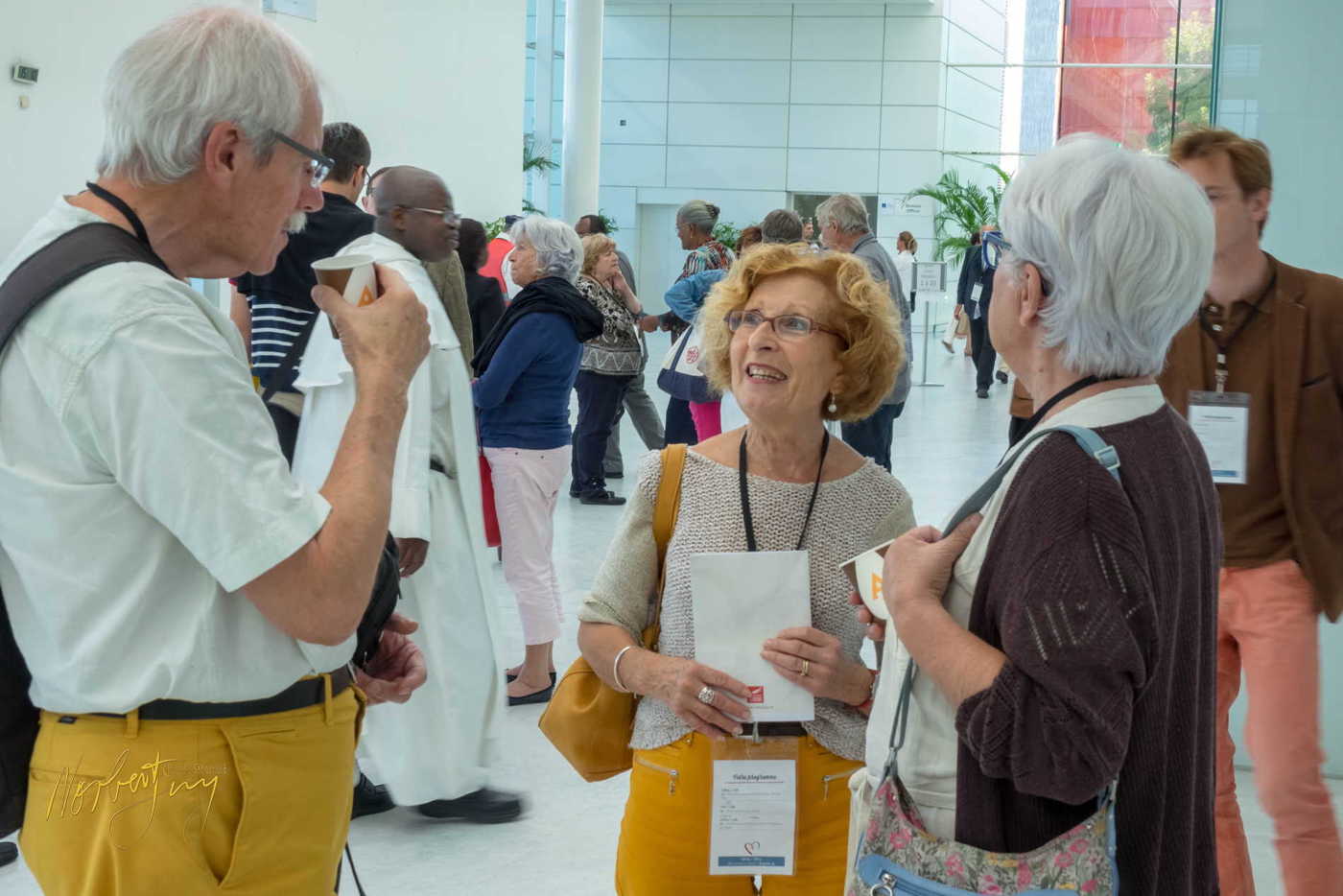 Nom de l'image : 223-S1101049 — Description : S1101049