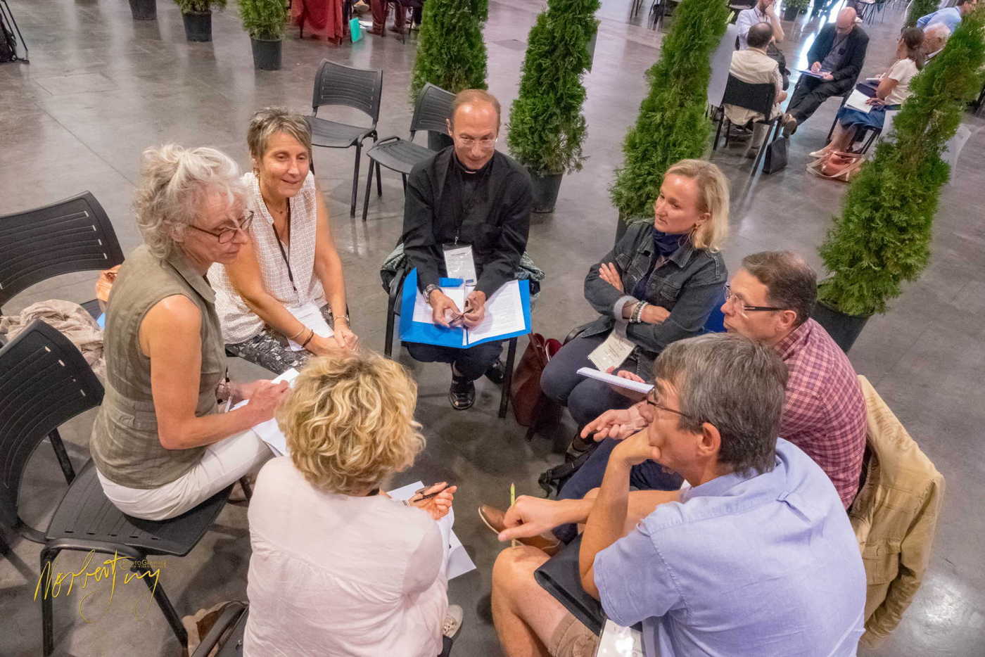 Nom de l'image : 230-S1101094 — Description : S1101094