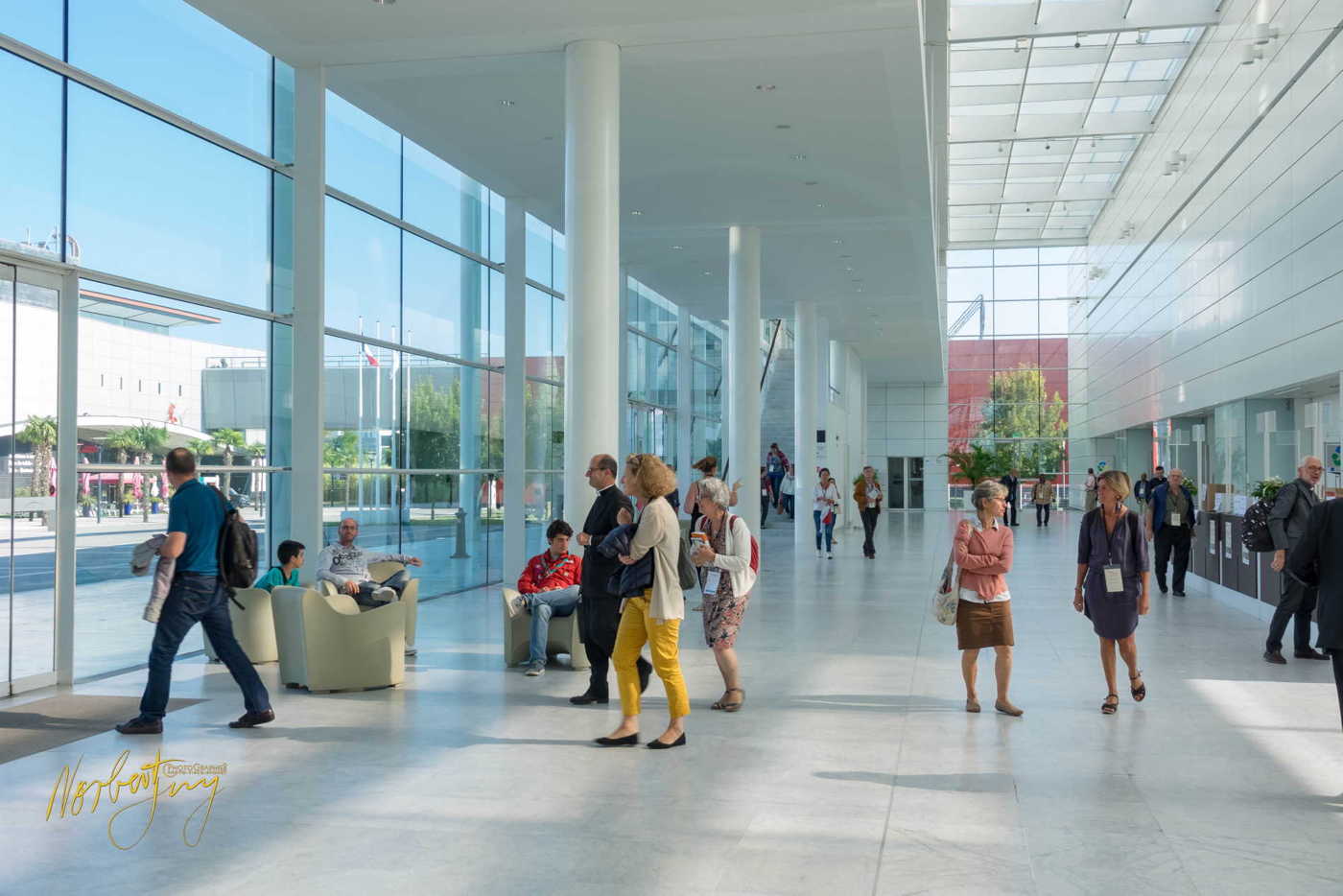 Nom de l'image : 260-S1101305 — Description : S1101305