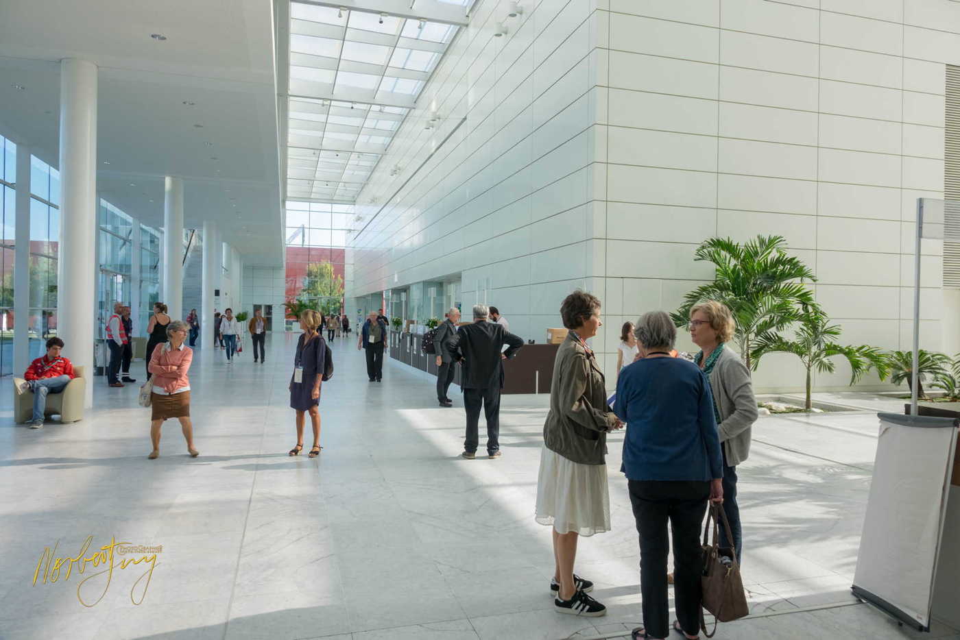 Nom de l'image : 261-S1101307 — Description : S1101307