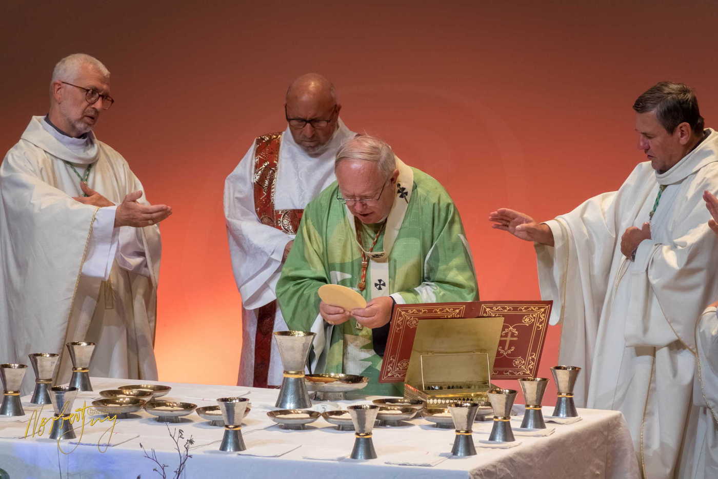 Nom de l'image : 305-S1101464 — Description : S1101464