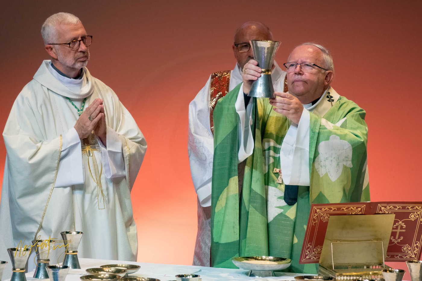 Nom de l'image : 310-S1101478 — Description : S1101478