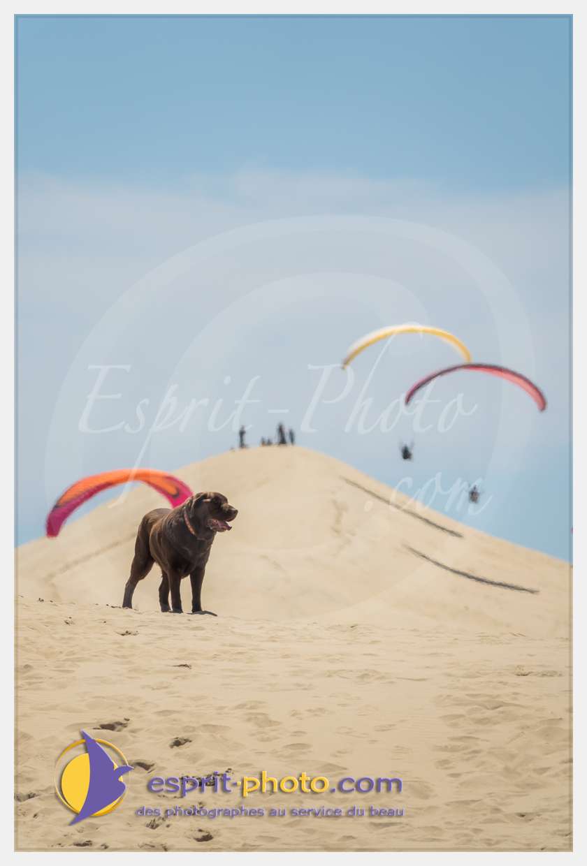 Nom de l'image : S1018158_(c)esprit-photo.com — Description :