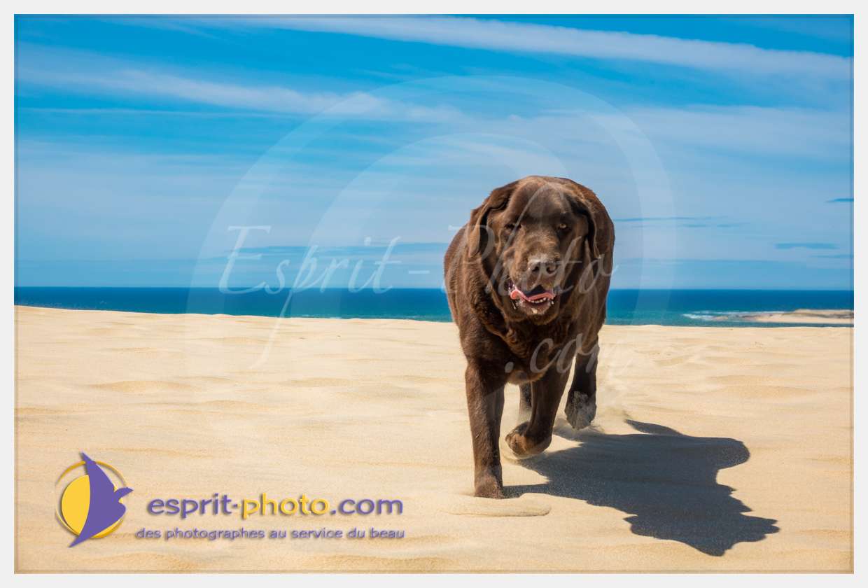 Nom de l'image : S1018346_(c)esprit-photo.com — Description :