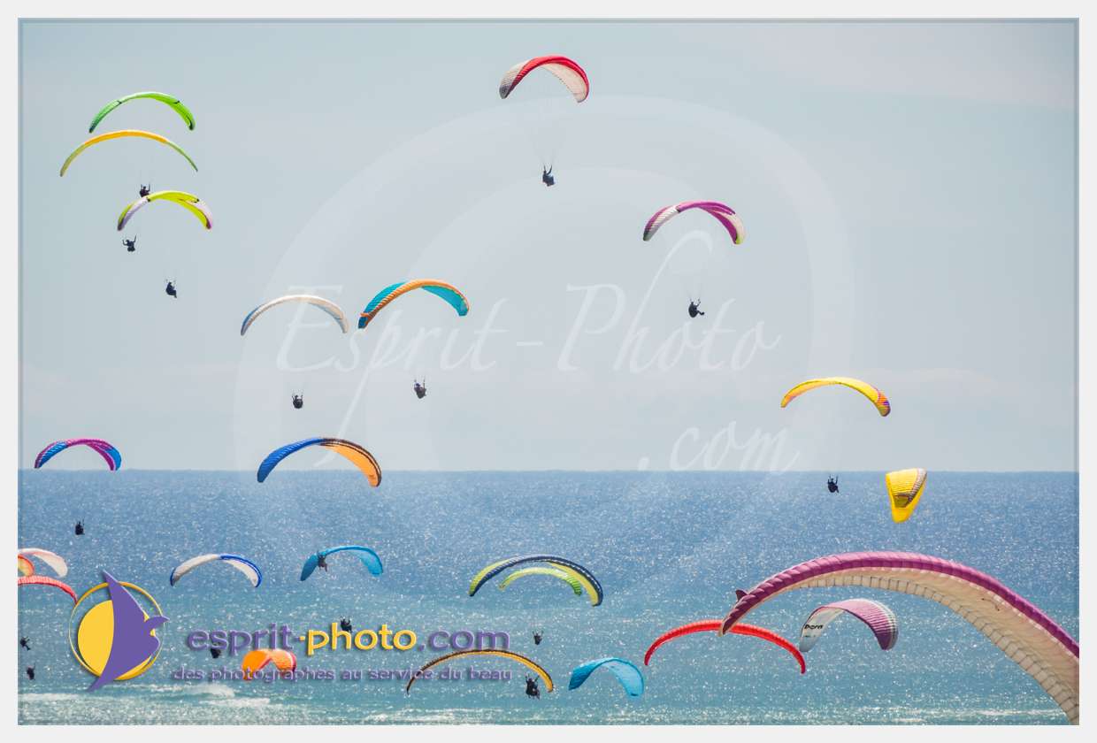 Nom de l'image : S1018459_(c)esprit-photo.com — Description :