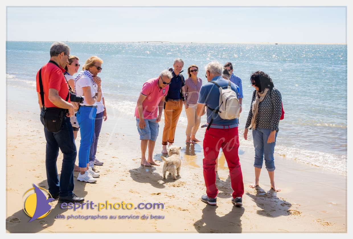 Nom de l'image : S1018753_(c)esprit-photo.com — Description :