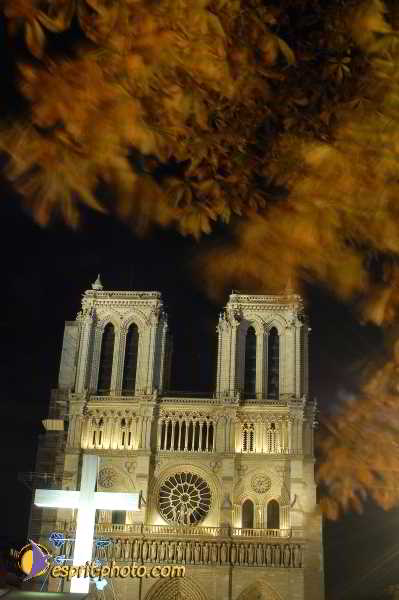 Nom de l'image : D1189440-1 — Description :  Paris - Toussaint 2004