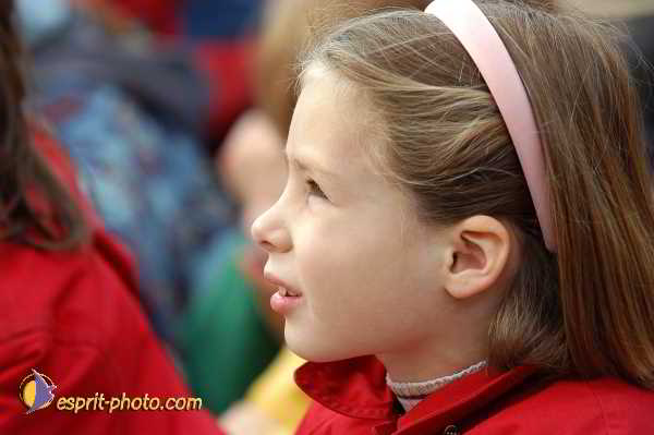 Nom de l'image : D1190947-1 — Description :  Paris - Toussaint 2004