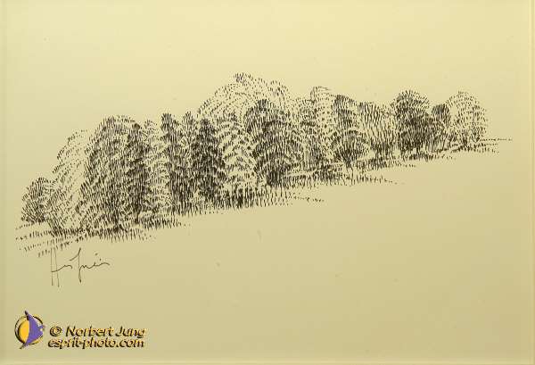 Nom de l'image : D1186673-1 — Description :  Paris - Toussaint 2004