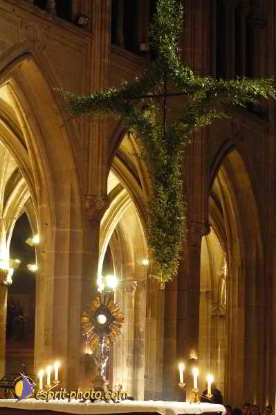 Nom de l'image : D1190539-1 — Description :  Paris - Toussaint 2004