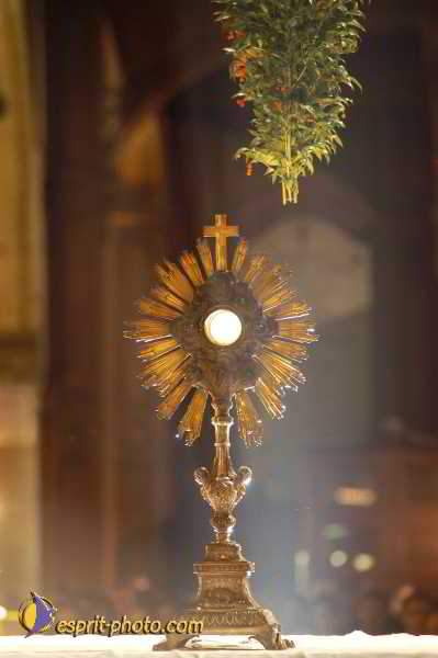 Nom de l'image : D1190558-1 — Description :  Paris - Toussaint 2004